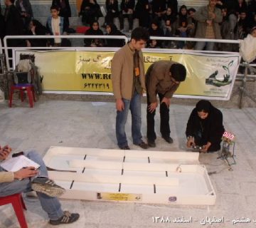 تصاویر هشتمین دوره نادکاپ